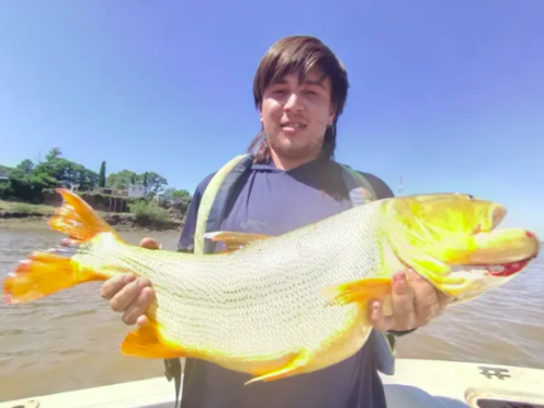 Pesca de dorados con los amigos de Concepción