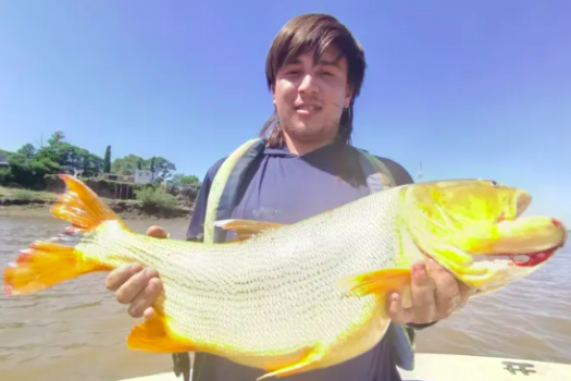 Pesca de dorados con los amigos de Concepción